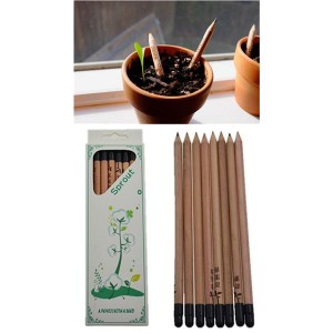 sprout pencil